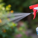 10 Tips Pencegahan Demam Dengue untuk Lindungi Diri dan Keluarga