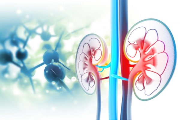 5 Fakta Tentang Air dan Kesehatan Ginjal yang Harus Anda Ketahui