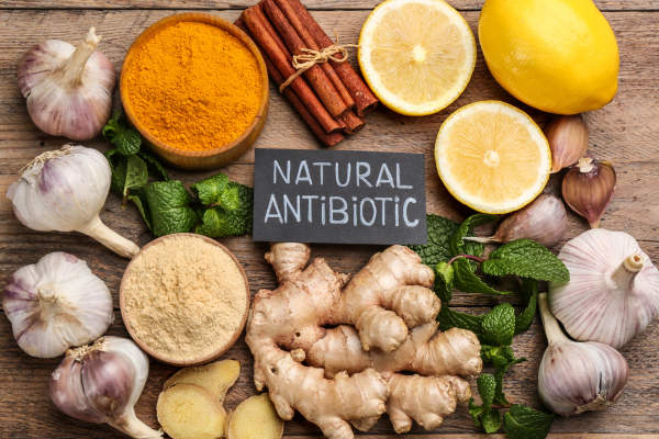 10 Herbal yang Membantu Melawan Penyakit Infeksi